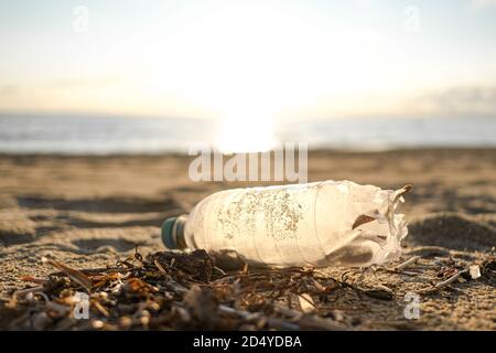 Plastikflasche Müll auf Meeresküste Ökosystem, Umweltverschmutzung Probleme entsorgt Stockfoto