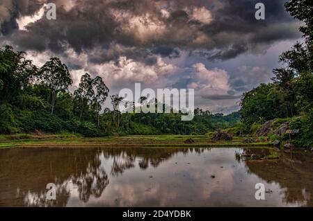 Landschaft, Lemo, Tona Toraja, Süd-Sulawesi, Große Sunda-Inseln, Indonesien Stockfoto