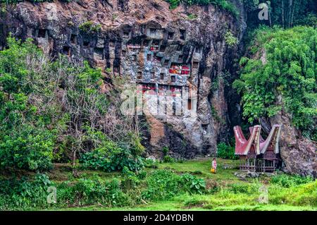 Tau Tau, Grabbeigaben, Lemo, Tona Toraja, Süd-Sulawesi, große Sunda-Inseln, Indonesien Stockfoto