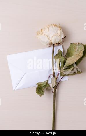 Weiße Rose und weißer Briefumschlag, Stillleben, Nahaufnahme, flaches Lay auf Holztisch oder Schreibtisch Stockfoto