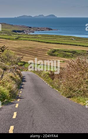 Einsame Straße in Irland. Einsame Straße auf Valentia Island (Irland), die zum Meer führt. Stockfoto