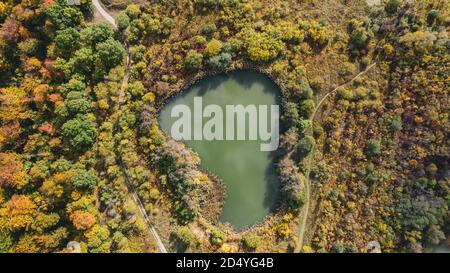 Schönes Luftbild von üppigen Herbstbäumen mit goldorangen Farben in den Schweizer Alpen aufgenommen. Stockfoto