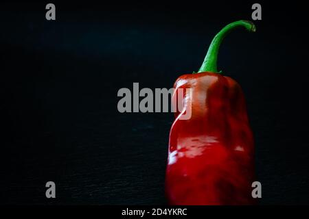 Rote, spitze Paprika auf schwarzem Hintergrund - dunkles Essen Stockfoto