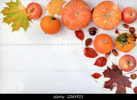 Mehrere kleine Kürbisse und rote Äpfel auf hellem Holzhintergrund mit Herbstblättern. Horizontale Ausrichtung, selektiver Fokus, Kopierbereich, Draufsicht. Stockfoto