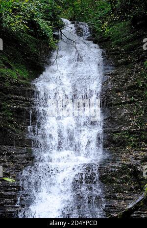 Wasserbruch ist es Hals Wasserfall, warren Holz, radnor Wald, powys, wales Stockfoto