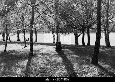 Downhills Park, West Green, North London, Großbritannien, im Frühherbst, mit Sonnenlicht, das durch Bäume scheint Stockfoto