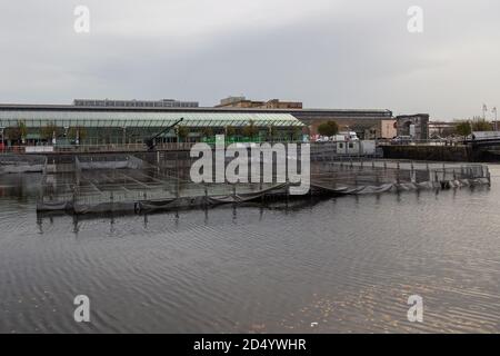 Dublin, Irland - 09. November 2015: Traditionelles irisches Gebäude und Stausee an der North Dock Street. Stockfoto