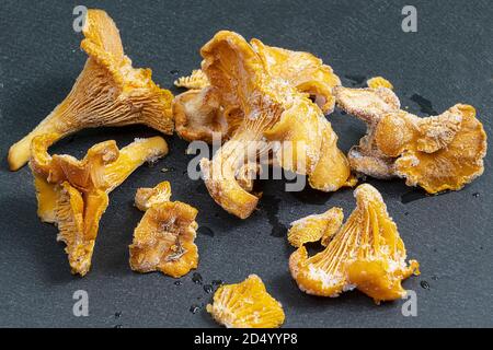 Einige gefrorene Pfifferlinge, Cantharellus cibarius, Pilze auf einer schwarzen Oberfläche Stockfoto