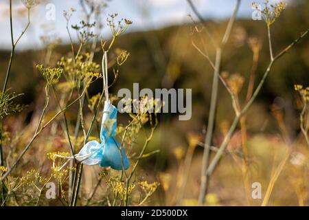 Medizinische Gesichtsmaske weggeworfen hängen von hohen Gras in der Sonne. Müllabfall pandemische Coronavirus Covid-19 Umwelt Auswirkungen. Stockfoto