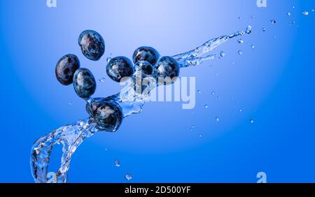 Isolierter Schuss von Pflaumen, die mit Wasser spritzen, isoliert auf blauem Hintergrund. Stockfoto