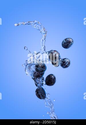 Isolierter Schuss von Pflaumen, die mit Wasser spritzen, isoliert auf blauem Hintergrund. Stockfoto