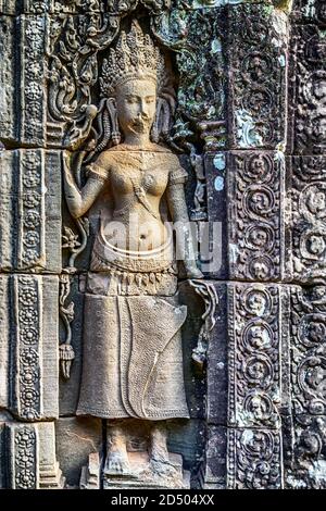 Apsara geschnitzt an der Wand wat Kambodscha. Alte Khmer-Architektur. Stockfoto