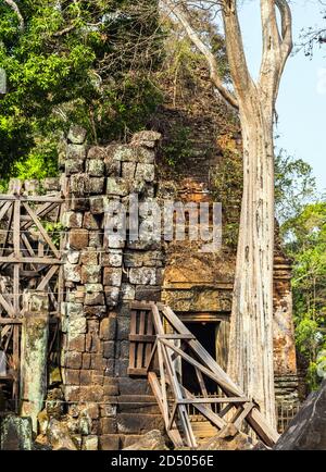 Angkor Wat, Kambodscha Zaun Ruinen Baumdschungel. UNESCO-Weltkulturerbe. Archäologische Landschaft von Koh Ker Moss auf dem Stein Backstein Sandstein lateri Stockfoto