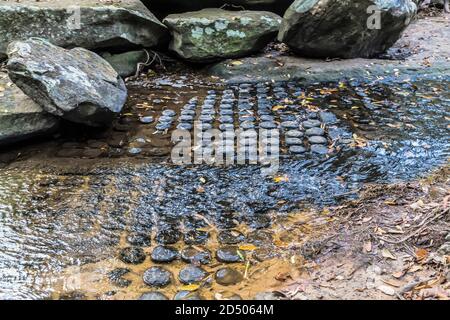 Sahasralingas oder 1000 Lingas im felsigen Bett des Kbal Spean Flusses. Siem Reap, Kambodscha Kbal Spean Dieses kambodschanische Flussbett ist mit altem Fertil bedeckt Stockfoto