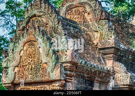 Banteay Srei Srey Sanctuary Tempel Zitadelle der Frauen der Schönheit Komplexität der Basrelief Schnitzereien Wände Gebäude. Viele Nischen in den Tempelmauern Co Stockfoto