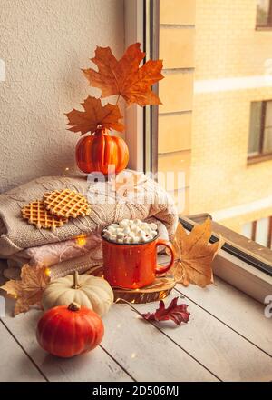 Gemütliches Herbststillleben auf der Fensterbank: Warme Wollpullover, Kürbisse, Ahornblätter und eine Tasse Kakao mit Marshmallows. Stockfoto