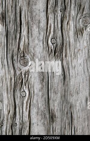 Alte Textur Holz abstrakten Hintergrund kopieren Raum Stockfoto