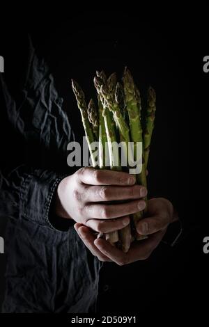 Bündel von organischen grünen Spargel in der Hand des schmutzigen Mann im schwarzen Hemd. Stockfoto