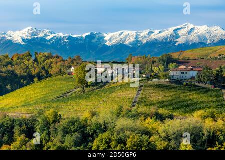 Villen und Weinberge auf einem Hügel in der Nähe von Serralunga d'Alba in der Langhe Region mit den Seealpen jenseits, Cuneo, Piemonte, Italien Stockfoto