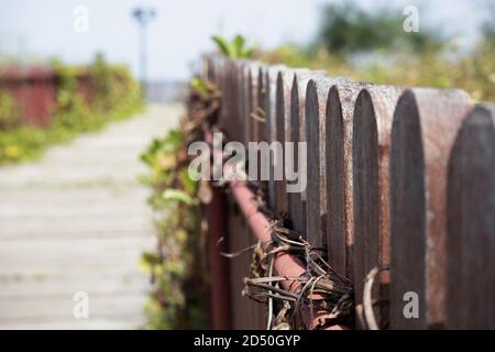 Holzzaun Design im Park Stockfoto