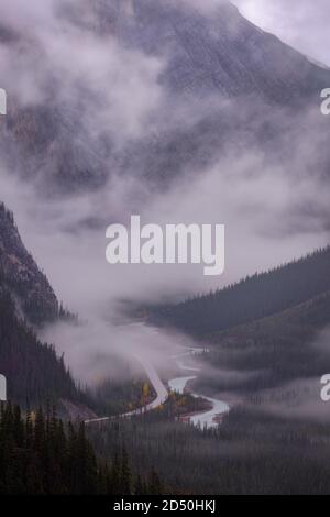 Stormy and Foggy Morning Icefields Parkway, Banff National Park Stockfoto