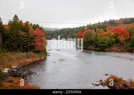 Schöne rote, orange und gelbe Blätter drehen sich auf Bäumen neben einem See auf einem Fluss Stockfoto