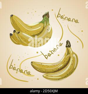 Illustration von Bananen. Isolierte gelbe Frucht Stock Vektor