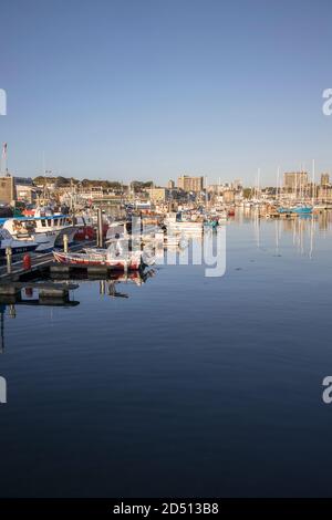 Boote im hafen von sutton in der barbican Gegend von plymouth devon Stockfoto
