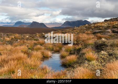 Suilven, Stac Pollaidh und Cull Mor dominieren den Blick von den Hängen von Cairn Conmheall, Coigach Peninsula, Wester Ross, Highlands, Schottland, UK Stockfoto