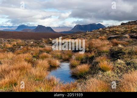 Suilven, Stac Pollaidh und Cull Mor dominieren den Blick von den Hängen von Cairn Conmheall, Coigach Peninsula, Wester Ross, Highlands, Schottland, UK Stockfoto