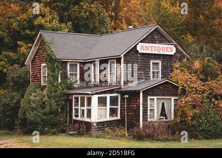 Antiquitätengeschäft und Herbstfarben in Hunter, Catskill Mountains, New York Stockfoto
