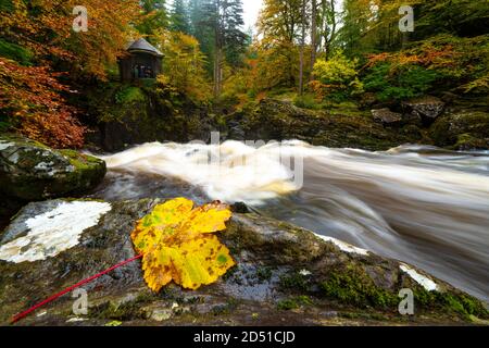Herbstansicht der Ossian Hall mit Blick auf die Kaskade der Black Linn Falls am Fluss Braan in der Eremitage, Perthshire, Schottland, Großbritannien Stockfoto