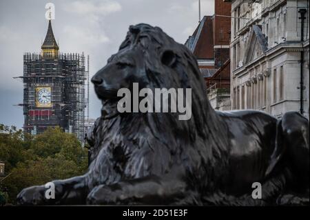 London, Großbritannien. Oktober 2020. Das Gerüst beginnt, Big Ben nach Reparaturen an den Turm zu kommen, enthüllt eine goldene Spitze. Kredit: Guy Bell/Alamy Live Nachrichten Stockfoto