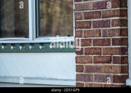 Nahaufnahme der Sehnen entlang der Basis von Ein Fenster in einer Ziegelwand Stockfoto