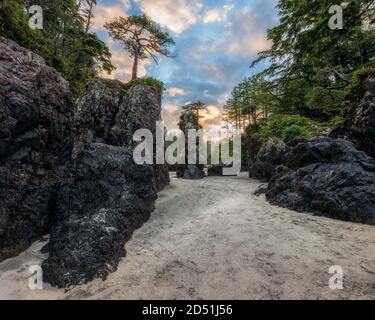 Wunderschöne Meeresstacks bei Sonnenaufgang in der San Josef Bay im Cape Scott Provincial Park auf Vancouver Island, British Columbia, Kanada. Stockfoto