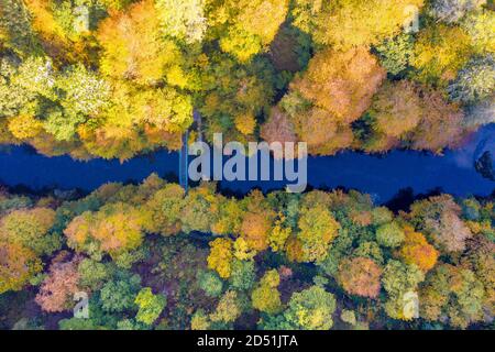Killiecrankie, Schottland, Großbritannien. 12. Oktober 2020. Blick auf Herbstfarben auf Bäume rund um den Fluss Garry an der Garry Bridge in der Nähe von Killiecrankie. Iain Masterton/Alamy Live News Stockfoto