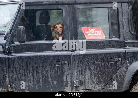 London, Großbritannien. , . Ein 'Traktorprotest' zur Unterstützung der britischen Landwirtschaft im Parliament Square Credit: Ian Davidson/Alamy Live News Stockfoto