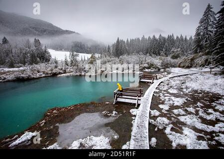 Frau in gelber Jacke im Naturschutzgebiet Zelenci Wenn der erste Schnee der Saison fällt, Slowenien Stockfoto