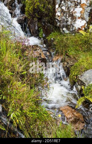 Wasserfall auf der Seite eines Berges nach starkem Regen auf der L1824 Straße in der Nähe von Tawnyard in der Grafschaft Mayo, Irland Stockfoto