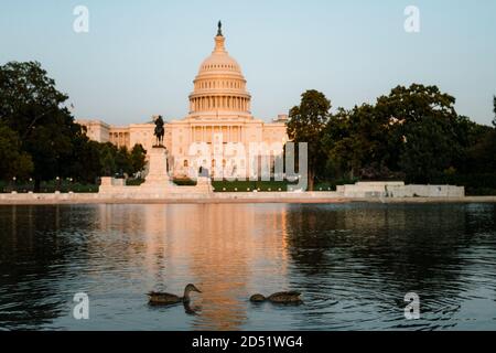 Enten schwimmen vor dem US Capitol Gebäude Stockfoto