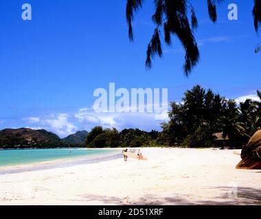 Surfen auf Anse Volbert Beach Praslin Stockfoto