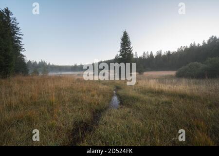 Moorlandschaft im Nebel im Landschaftsschutzgebiet das Naturschutzgebiet Kirchspielwald-Ibacher Moos in süddeutschland ist ein bedeutendes Moor Stockfoto