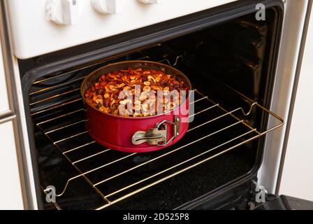 Frisch zubereiteter hausgemachter Nußkuchen im heimischen Ofen. Geringer Fokus. Stockfoto