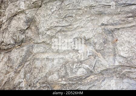 Echte fossile Dinosaurier Spuren auf einem versteinerten Flussbett ausgesetzt. Asturien. Spanien. Stockfoto