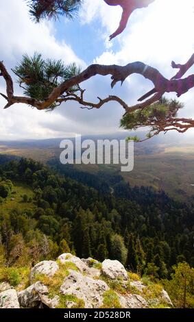 Blick vom Berg auf die Schlucht. Querformat. Russland Adygea. Stockfoto