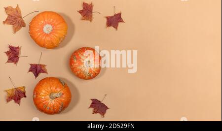 Herbst trendy flat lay Banner mit Blick oben auf getrocknete Ahornblätter und orange Kürbisse auf pastellbeige Hintergrund. Stockfoto