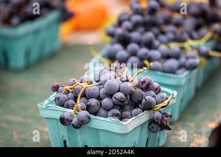 Blaubeere auf einem Bauernmarkt ausgestellt Stockfoto