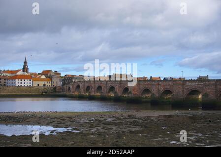 Rathaus, Berwick Bridge (oder Old Bridge) und Häuser in Berwick-upon-Tweed, Northumberland, von der anderen Seite des Flusses Tweed in Tweedmouth aus gesehen. Stockfoto