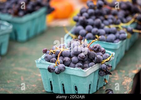 Blaubeere auf einem Bauernmarkt ausgestellt Stockfoto