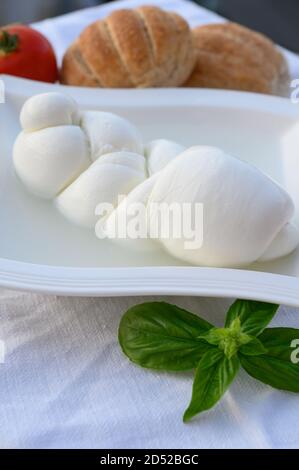 Frische, weiche italienische Käsezopf-Mozzarella-Büffel aus italienischer Büffelmilch nach Pasta-Filata-Methode in Amaseno, Latium, Italien Stockfoto